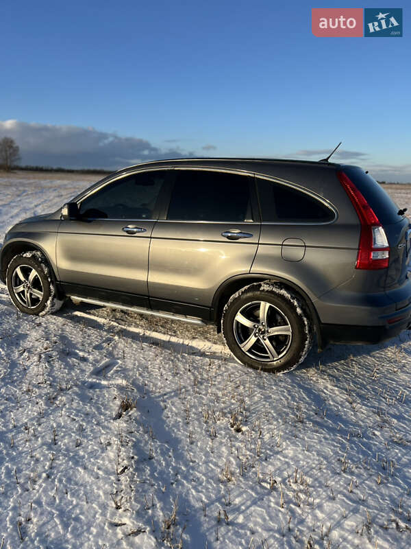 Внедорожник / Кроссовер Honda CR-V 2010 в Радивилове