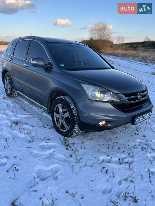 Внедорожник / Кроссовер Honda CR-V 2010 в Радивилове