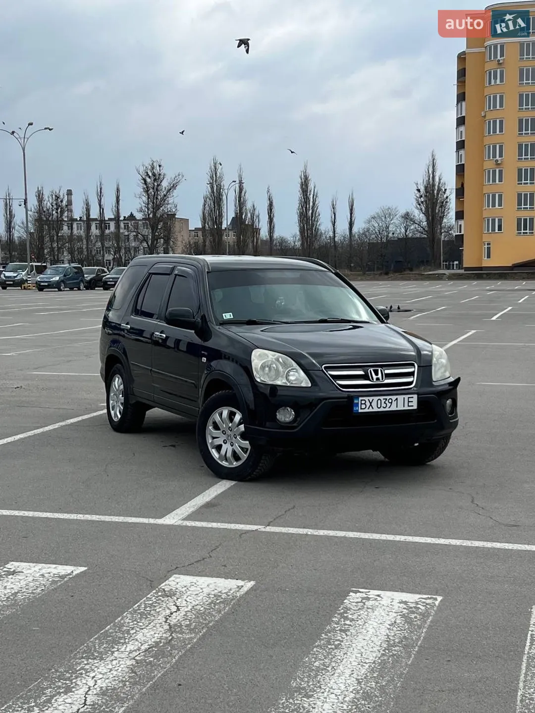 Фото авто 6