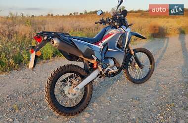 Мотоцикл Многоцелевой (All-round) Honda CRF 250L Rally 2019 в 