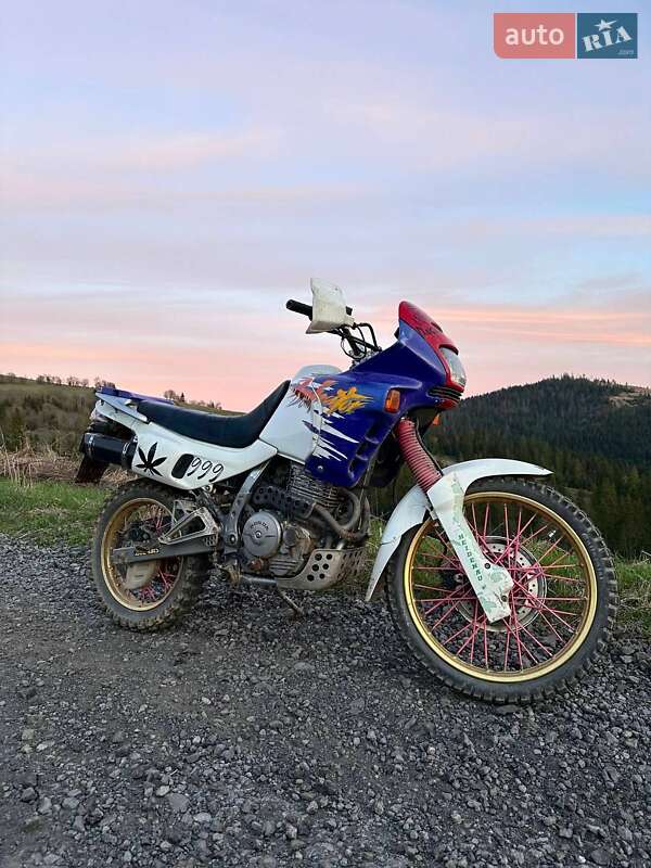 Мотоцикл Позашляховий (Enduro) Honda NX 650 Dominator 1996 в 