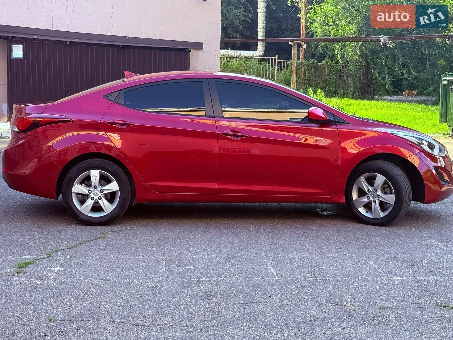 2014 Hyundai Elantra - мініатюра 4