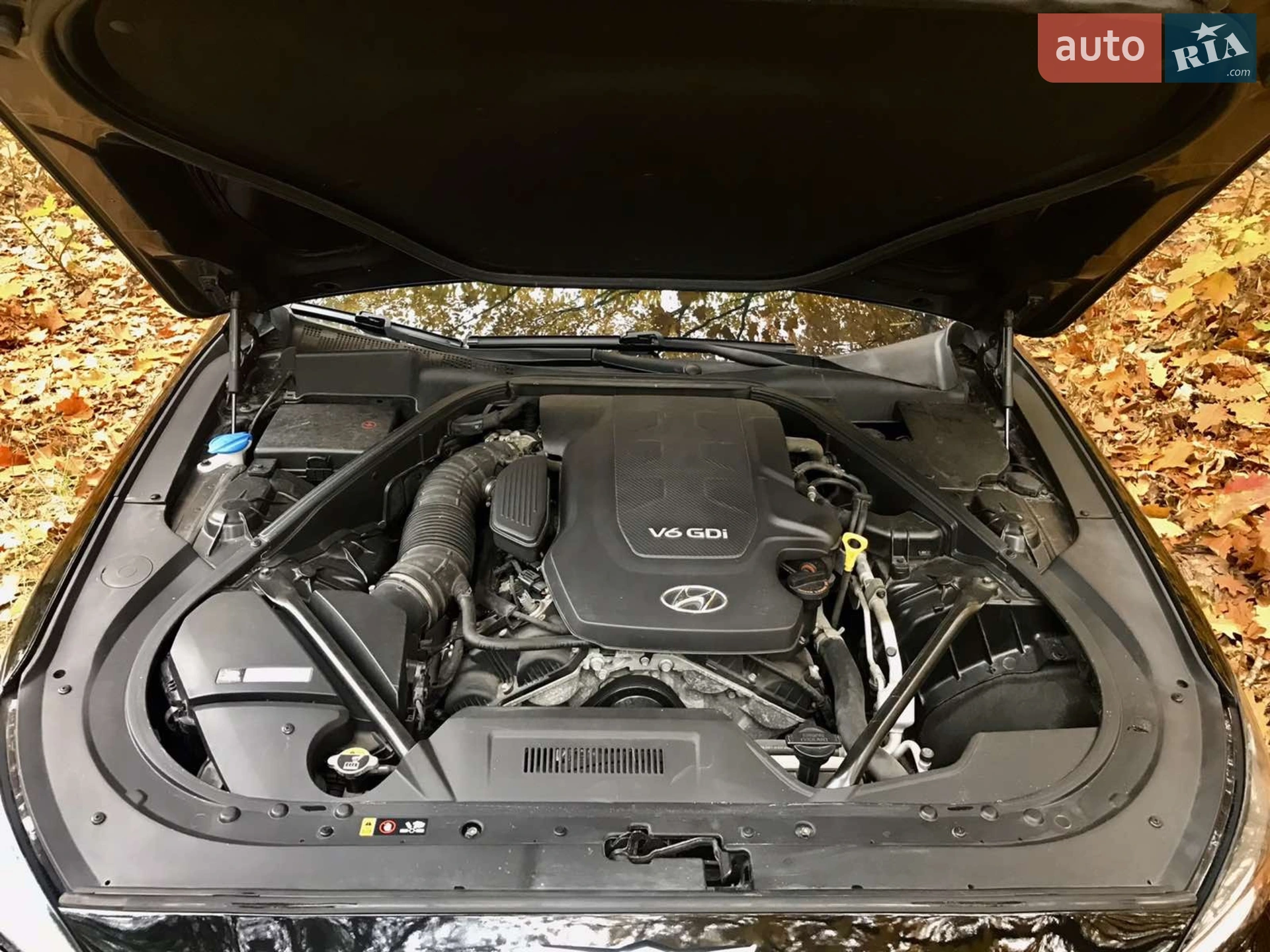 2014 Hyundai Genesis - мініатюра 13