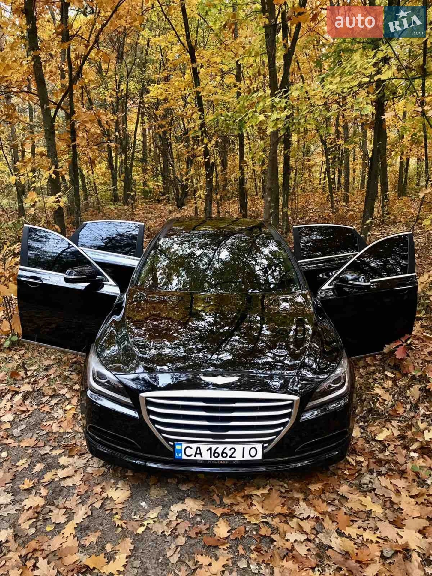 2014 Hyundai Genesis - мініатюра 5
