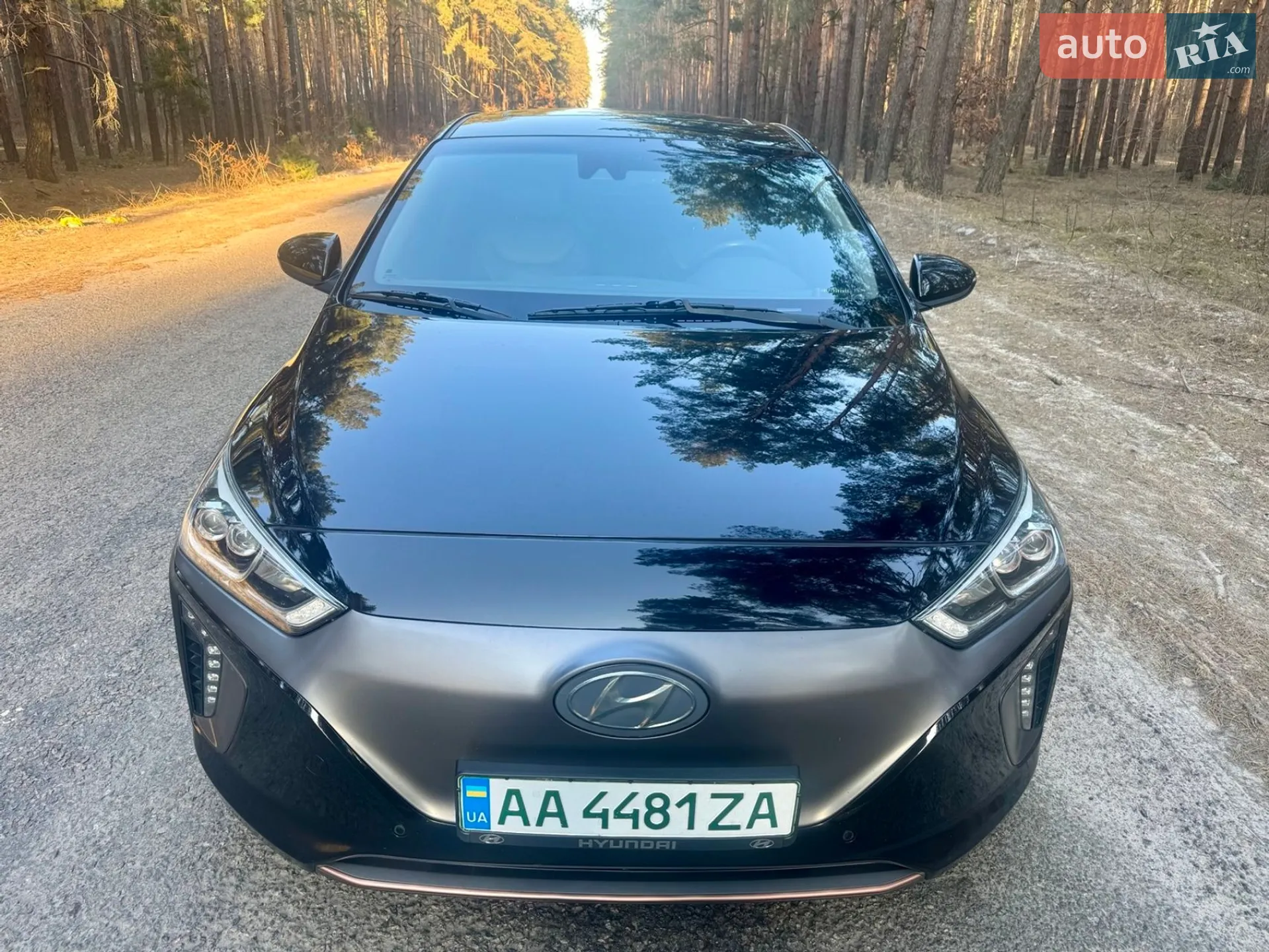 2017 Hyundai IONIQ - мініатюра 9