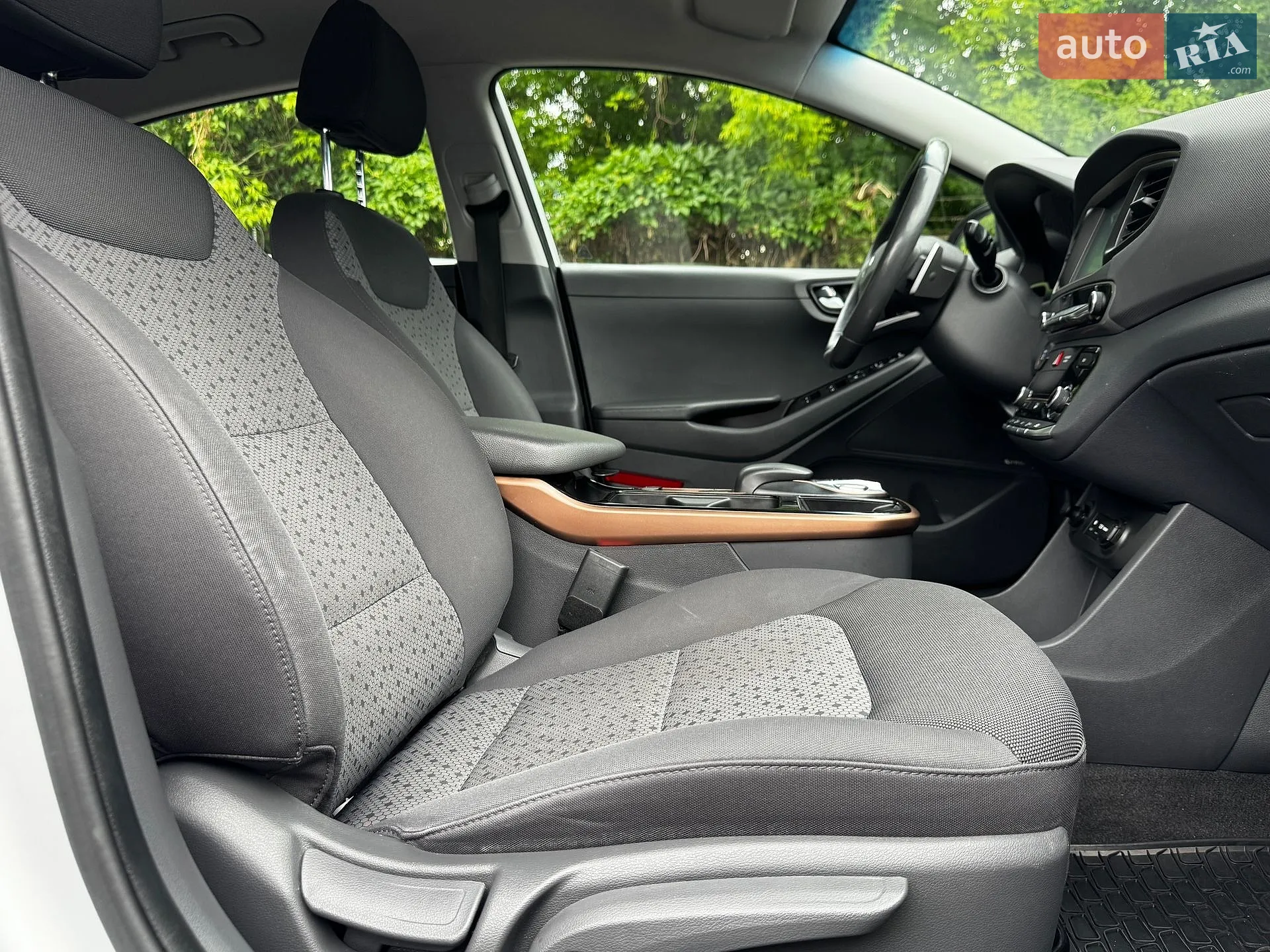 2019 Hyundai IONIQ - мініатюра 39