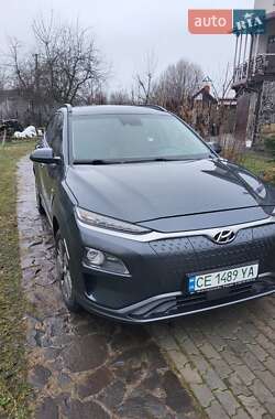 Внедорожник / Кроссовер Hyundai Kona 2019 в Львове