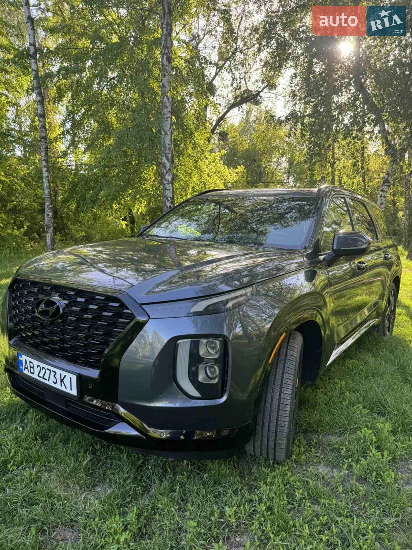 2019 Hyundai Palisade - фото 1