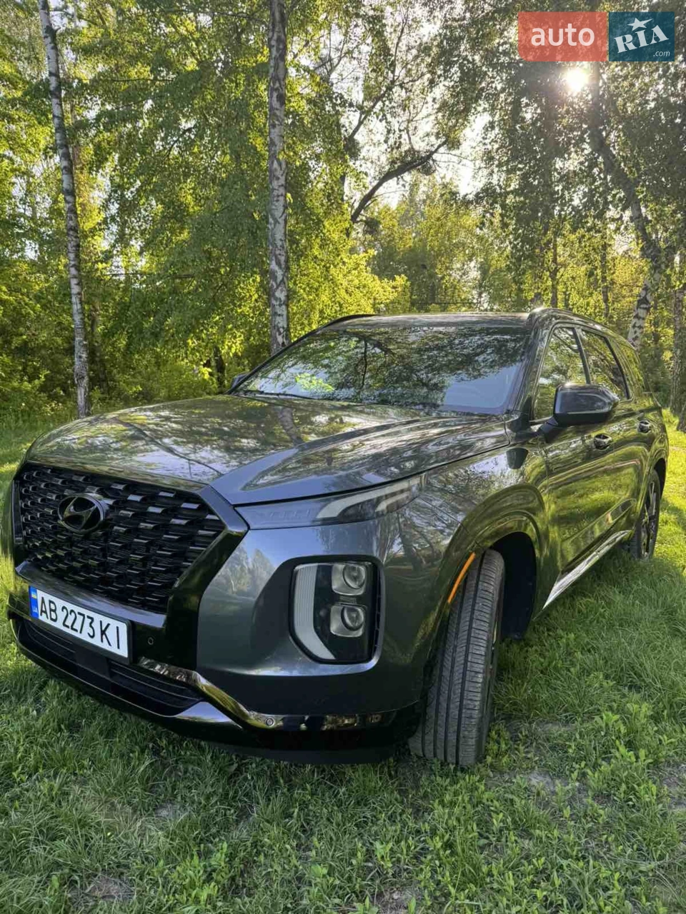 2018 Hyundai Palisade - мініатюра 41