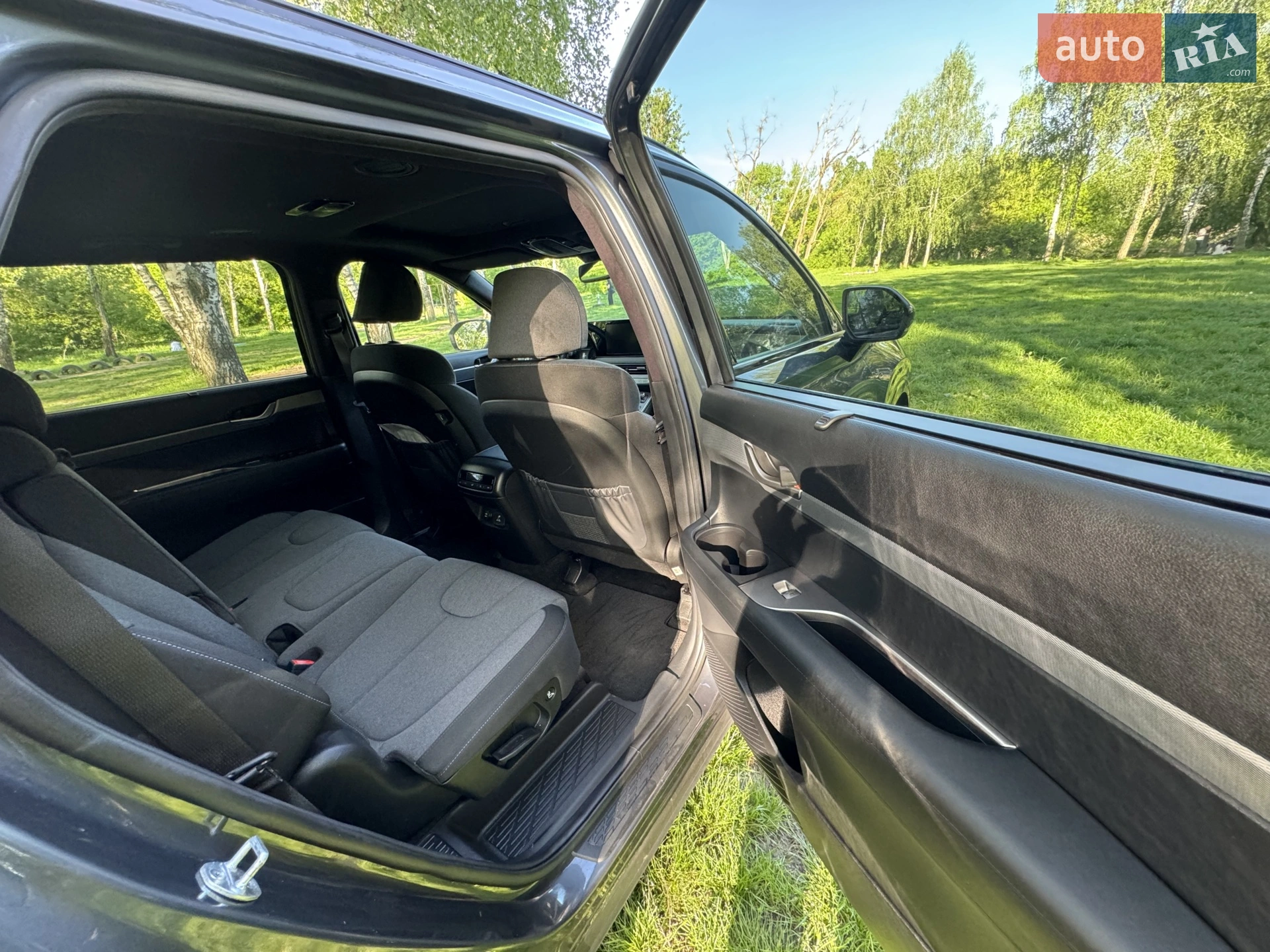 2019 Hyundai Palisade - мініатюра 4