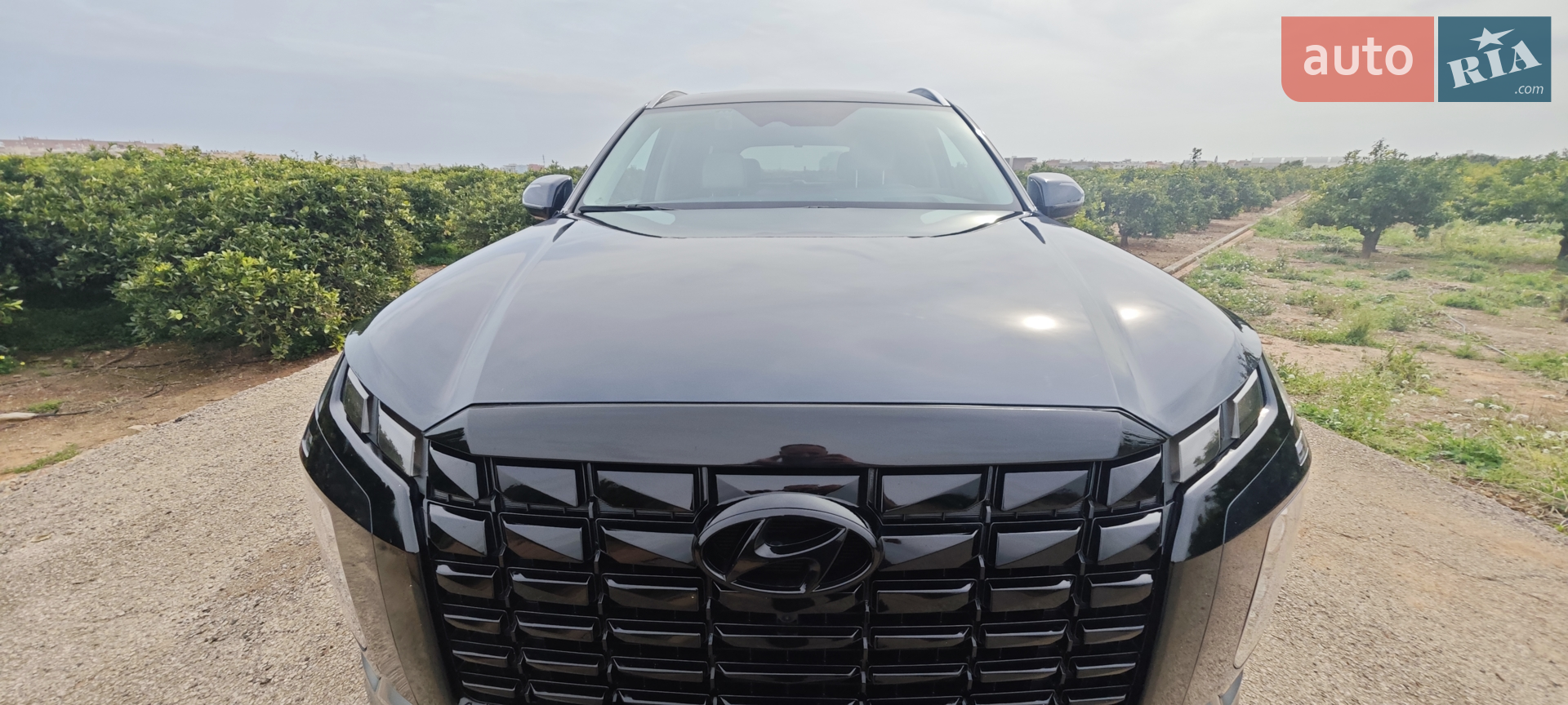 2022 Hyundai Palisade - мініатюра 19