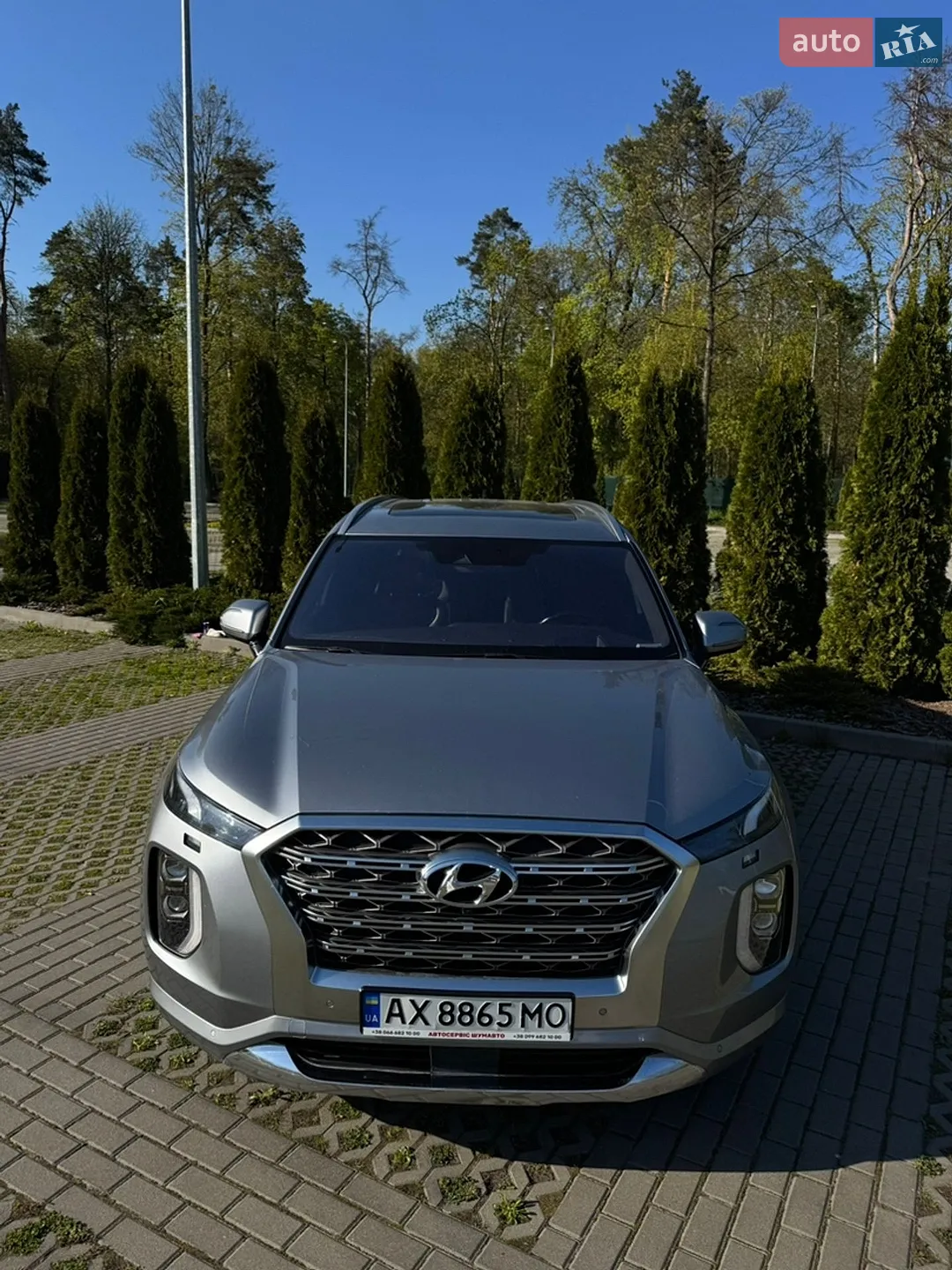 2019 Hyundai Palisade - мініатюра 4
