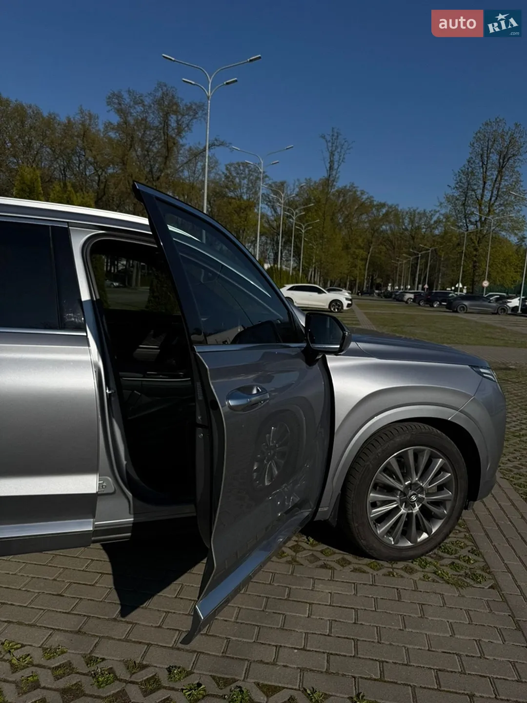 2019 Hyundai Palisade - мініатюра 18
