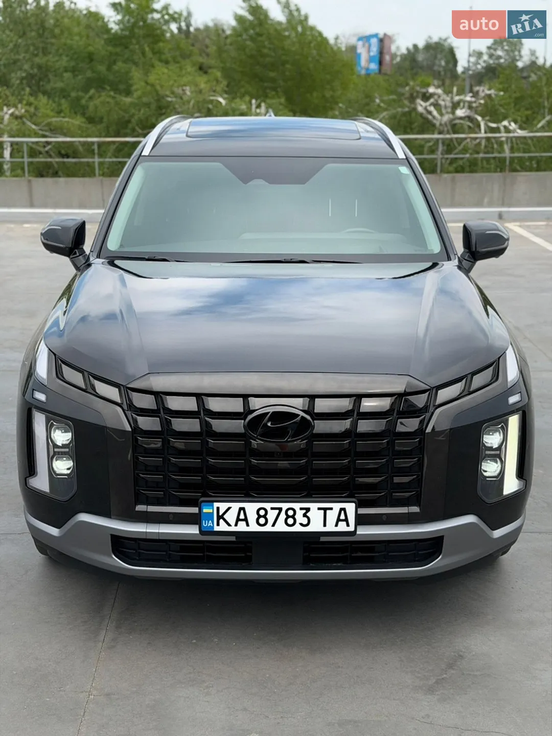 2022 Hyundai Palisade - мініатюра 3