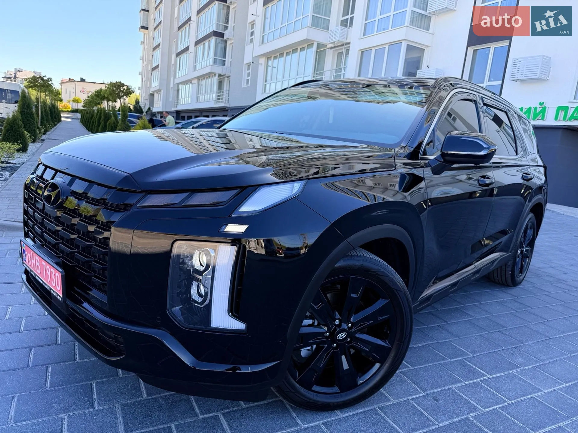 2025 Hyundai Palisade - мініатюра 78