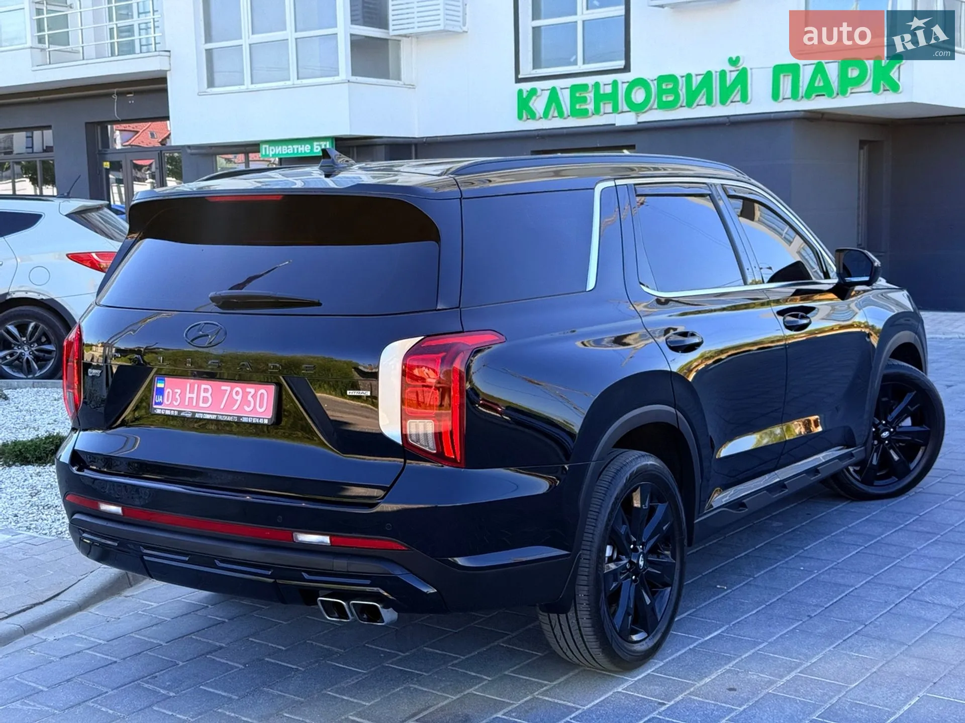 2025 Hyundai Palisade - мініатюра 88