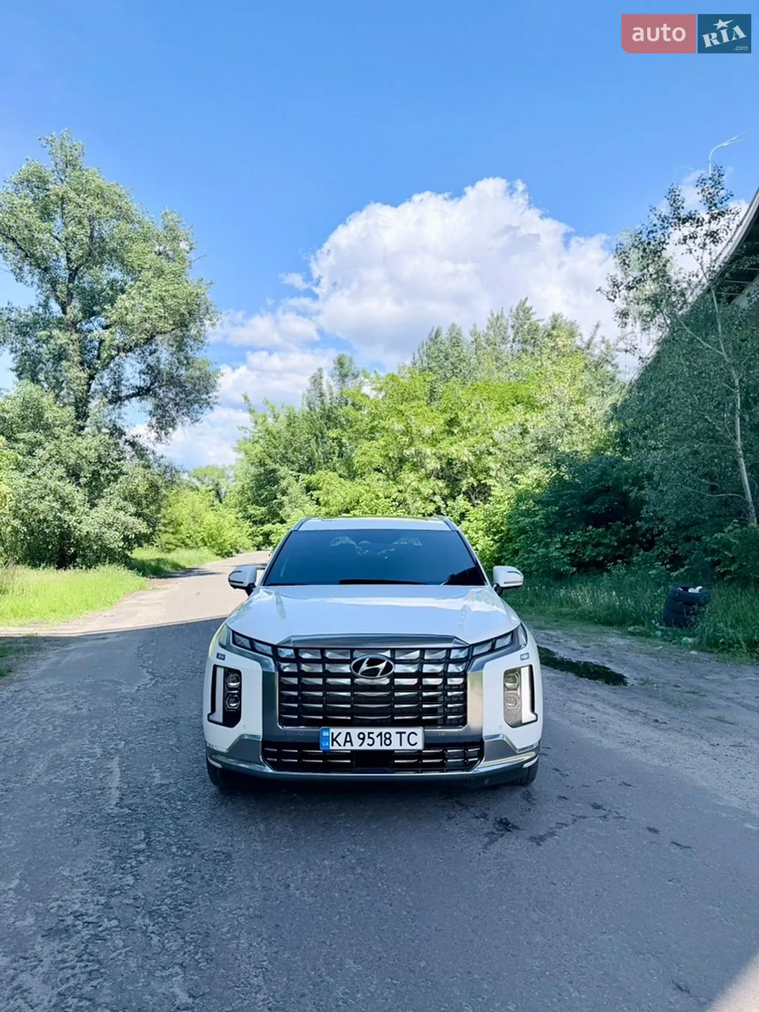 2024 Hyundai Palisade - мініатюра 20