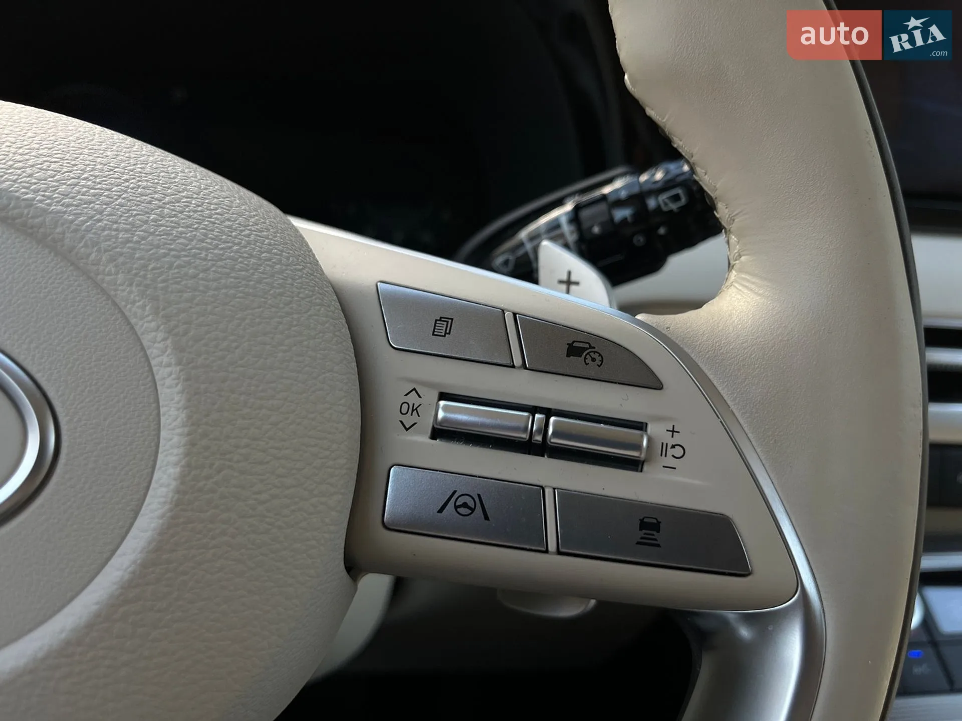 2023 Hyundai Palisade - мініатюра 36