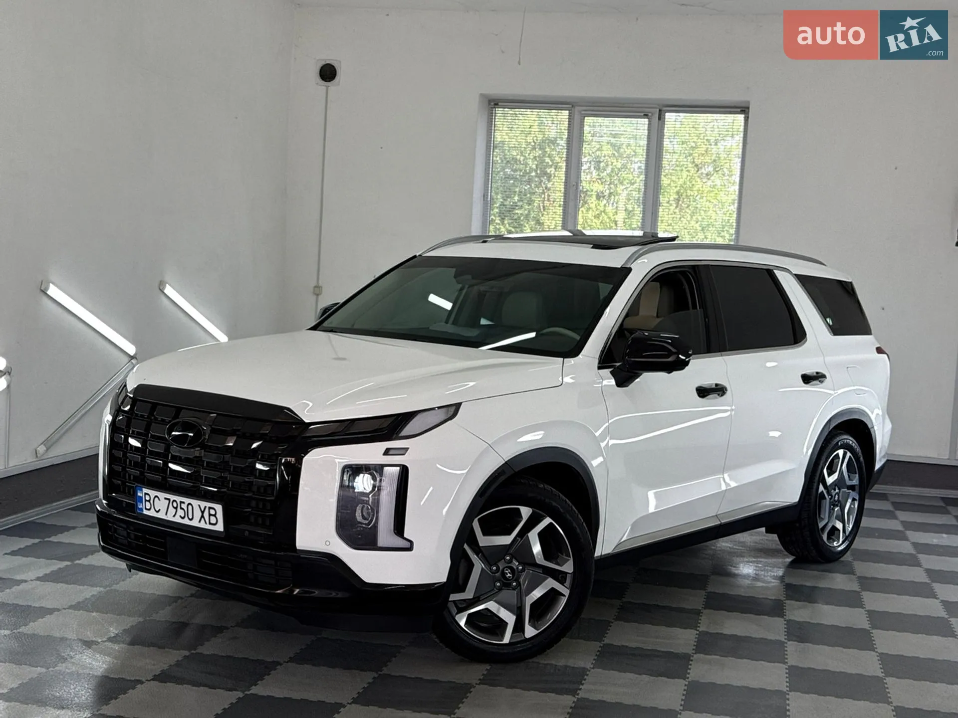 2023 Hyundai Palisade - мініатюра 9