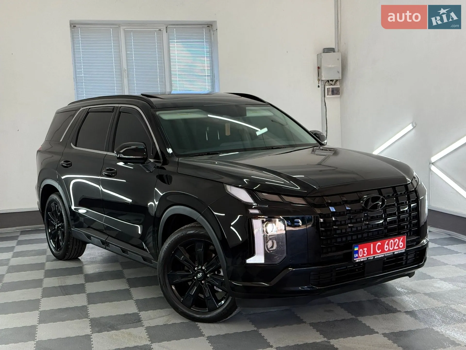 2025 Hyundai Palisade - мініатюра 12