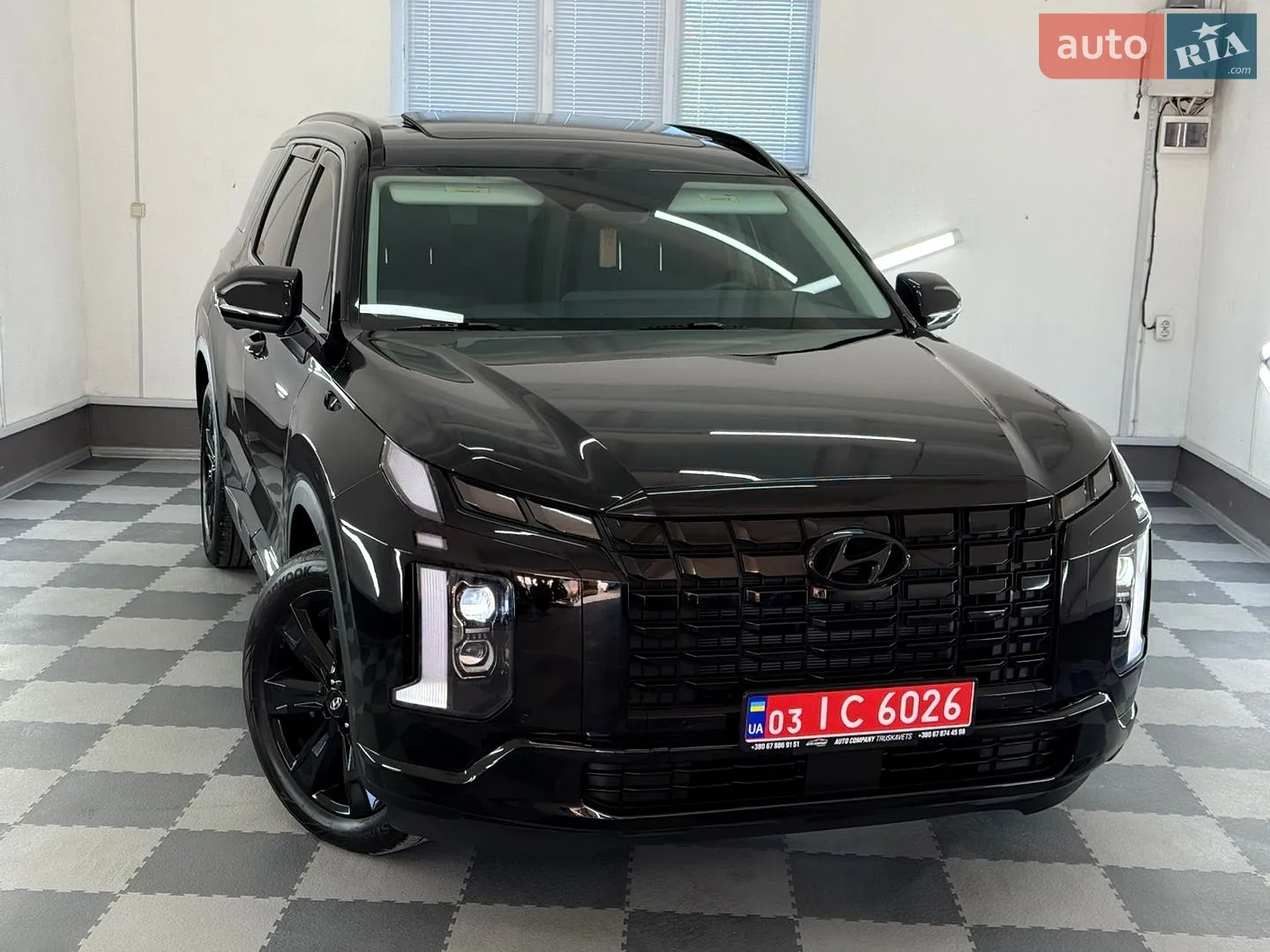 2024 Hyundai Palisade - мініатюра 12