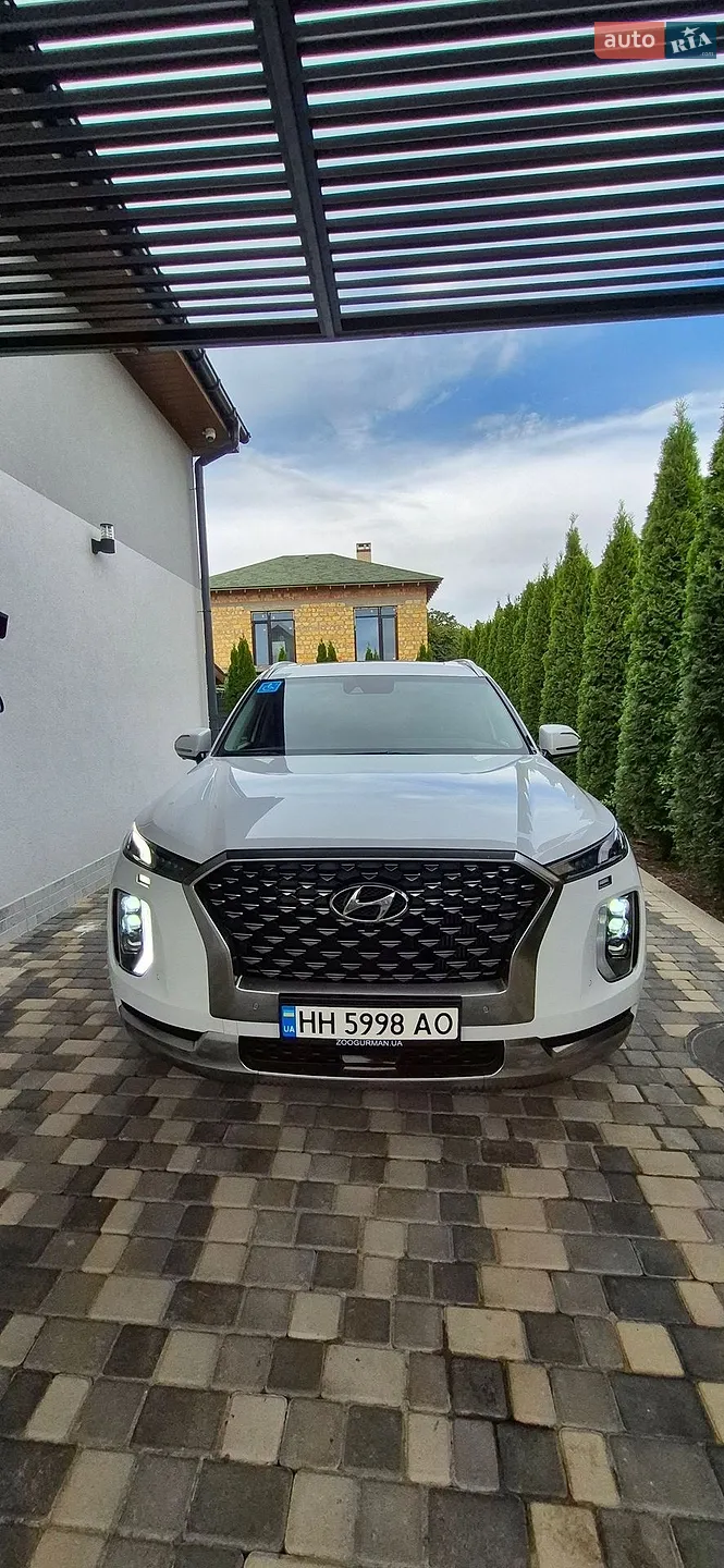 2021 Hyundai Palisade - мініатюра 19