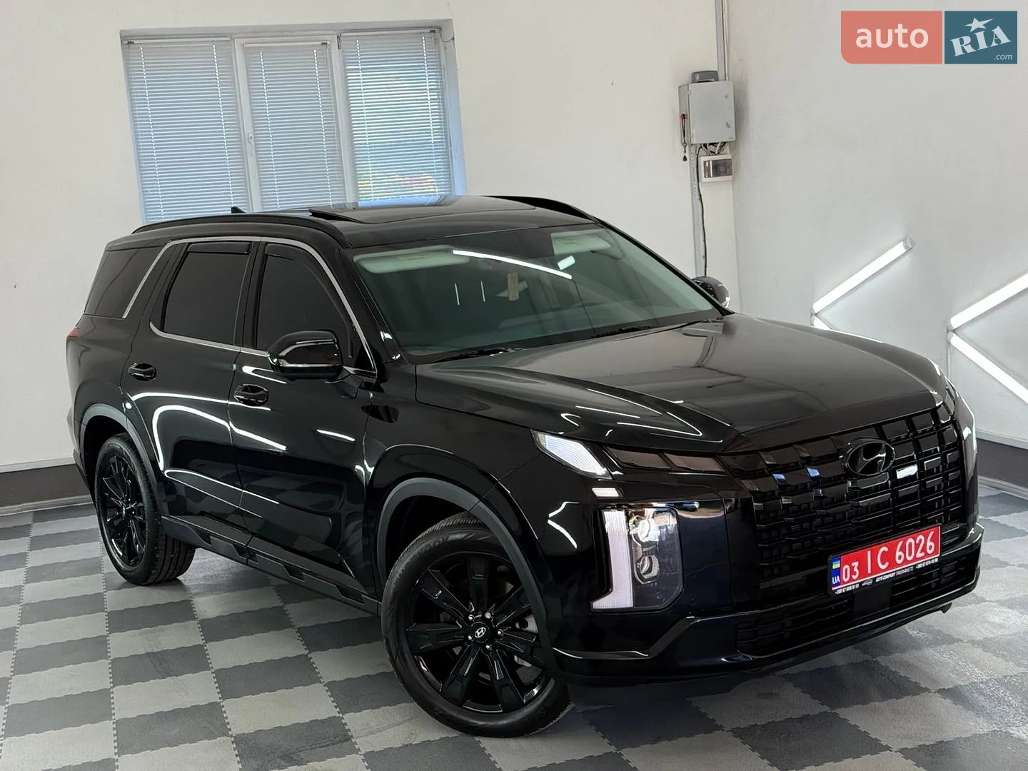 2024 Hyundai Palisade - мініатюра 8