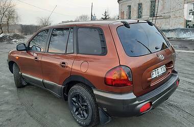 Внедорожник / Кроссовер Hyundai Santa FE 2002 в Изяславе