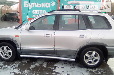 Внедорожник / Кроссовер Hyundai Santa FE 2002 в Житомире
