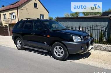 Внедорожник / Кроссовер Hyundai Santa FE 2003 в Чернигове