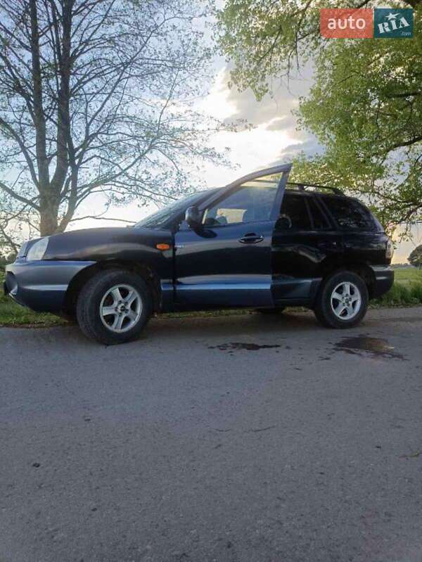 Позашляховик / Кросовер Hyundai Santa FE 2003 в Сарнах