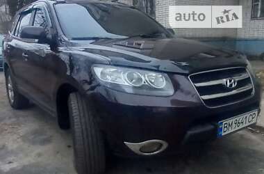 Внедорожник / Кроссовер Hyundai Santa FE 2008 в Шостке