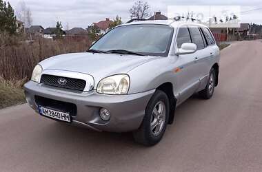 Внедорожник / Кроссовер Hyundai Santa FE 2004 в Житомире