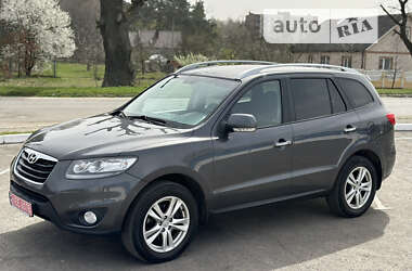 Внедорожник / Кроссовер Hyundai Santa FE 2010 в Радивилове