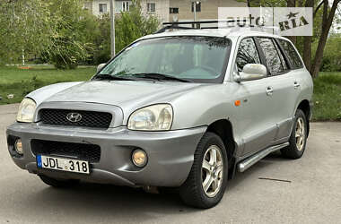 Внедорожник / Кроссовер Hyundai Santa FE 2004 в Вольнянске