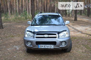 Внедорожник / Кроссовер Hyundai Santa FE 2005 в Лебедине