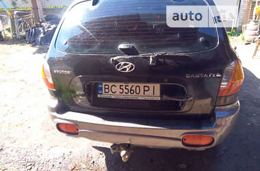 Внедорожник / Кроссовер Hyundai Santa FE 2004 в Сосновке