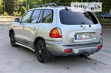Внедорожник / Кроссовер Hyundai Santa FE 2004 в Вольнянске