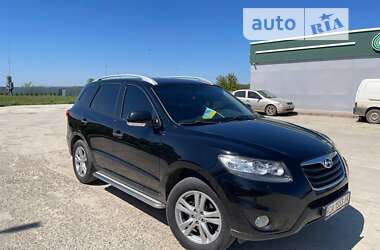 Позашляховик / Кросовер Hyundai Santa FE 2010 в Умані