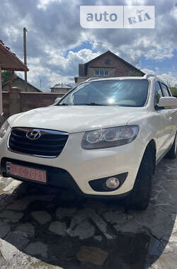 Позашляховик / Кросовер Hyundai Santa FE 2010 в Києві