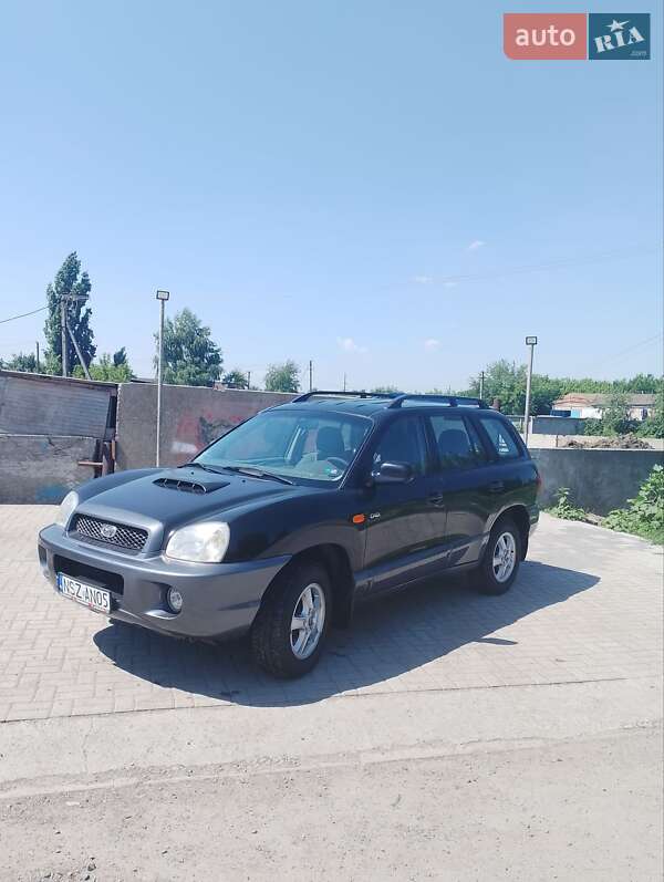 Внедорожник / Кроссовер Hyundai Santa FE 2003 в Днепре