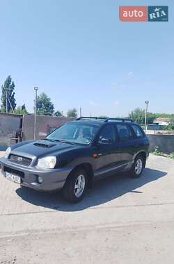 Внедорожник / Кроссовер Hyundai Santa FE 2003 в Днепре