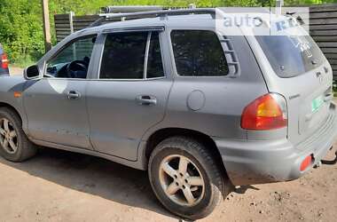 Внедорожник / Кроссовер Hyundai Santa FE 2003 в Хмельницком