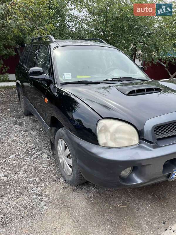 Внедорожник / Кроссовер Hyundai Santa FE 2003 в Виннице