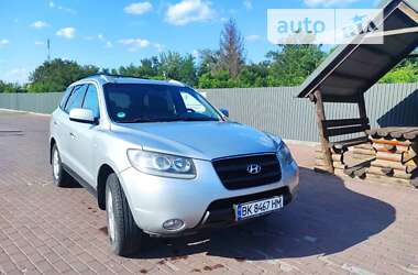 Внедорожник / Кроссовер Hyundai Santa FE 2006 в Сарнах