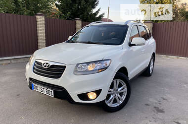 Внедорожник / Кроссовер Hyundai Santa FE 2010 в Умани