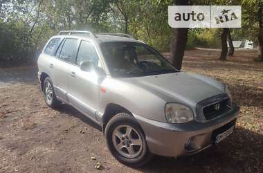 Внедорожник / Кроссовер Hyundai Santa FE 2004 в Сумах