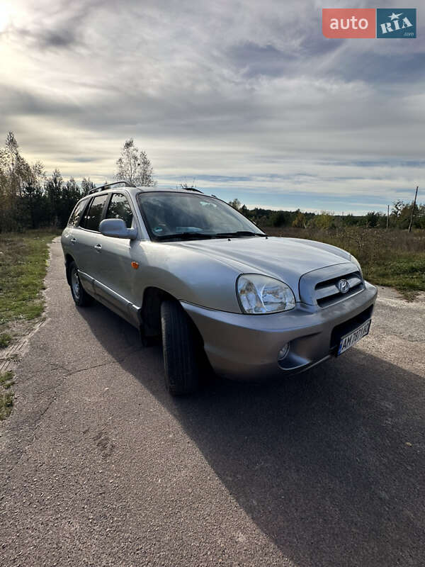 Внедорожник / Кроссовер Hyundai Santa FE 2005 в Лугинах фото 14 Внедорожник / Кроссовер Hyundai Santa FE 2005 в Лугинах