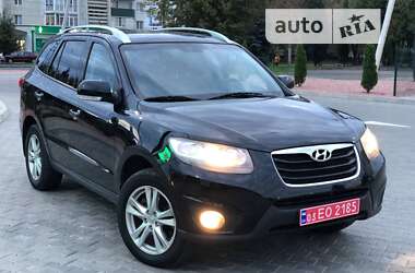 Внедорожник / Кроссовер Hyundai Santa FE 2010 в Луцке