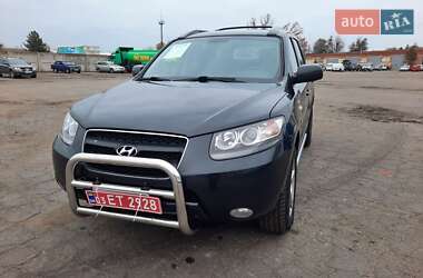 Внедорожник / Кроссовер Hyundai Santa FE 2009 в Полтаве